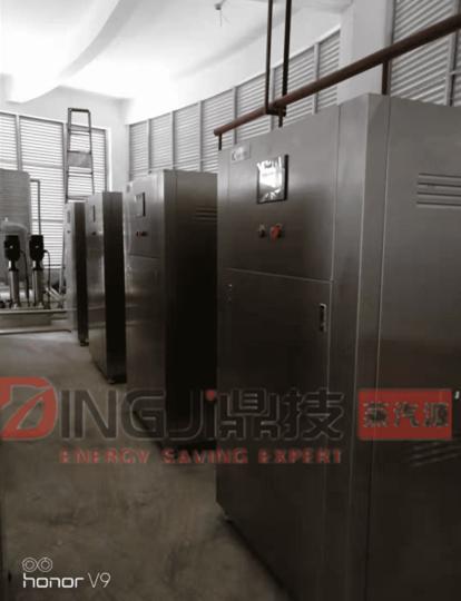 桐鄉DINGJI化工用蒸汽能源，化工用低氮蒸汽能源