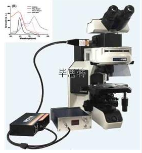 顯微分光光度計顯微光譜系統顯微分光光度計顯微紅外光譜儀、