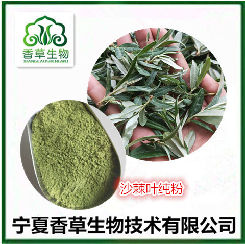 沙棘葉提取物 沙棘葉凍干粉批發 沙棘葉黃酮20%