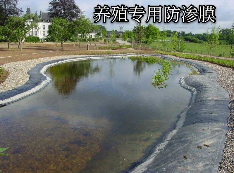 江西宜春物優價廉廠家直銷防滲土工膜